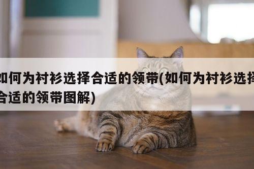 如何为衬衫选择合适的领带(如何为衬衫选择合适的领带图解)